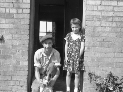 DAD-BW036