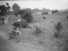 DAD-116