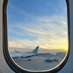 Through the Round Window