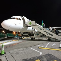 Aer Lingus