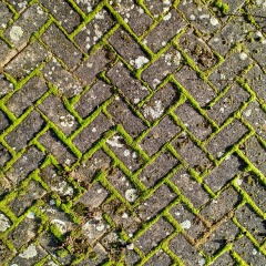 IMG_20231128_134834731_HDR