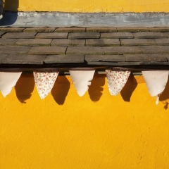 Bunting